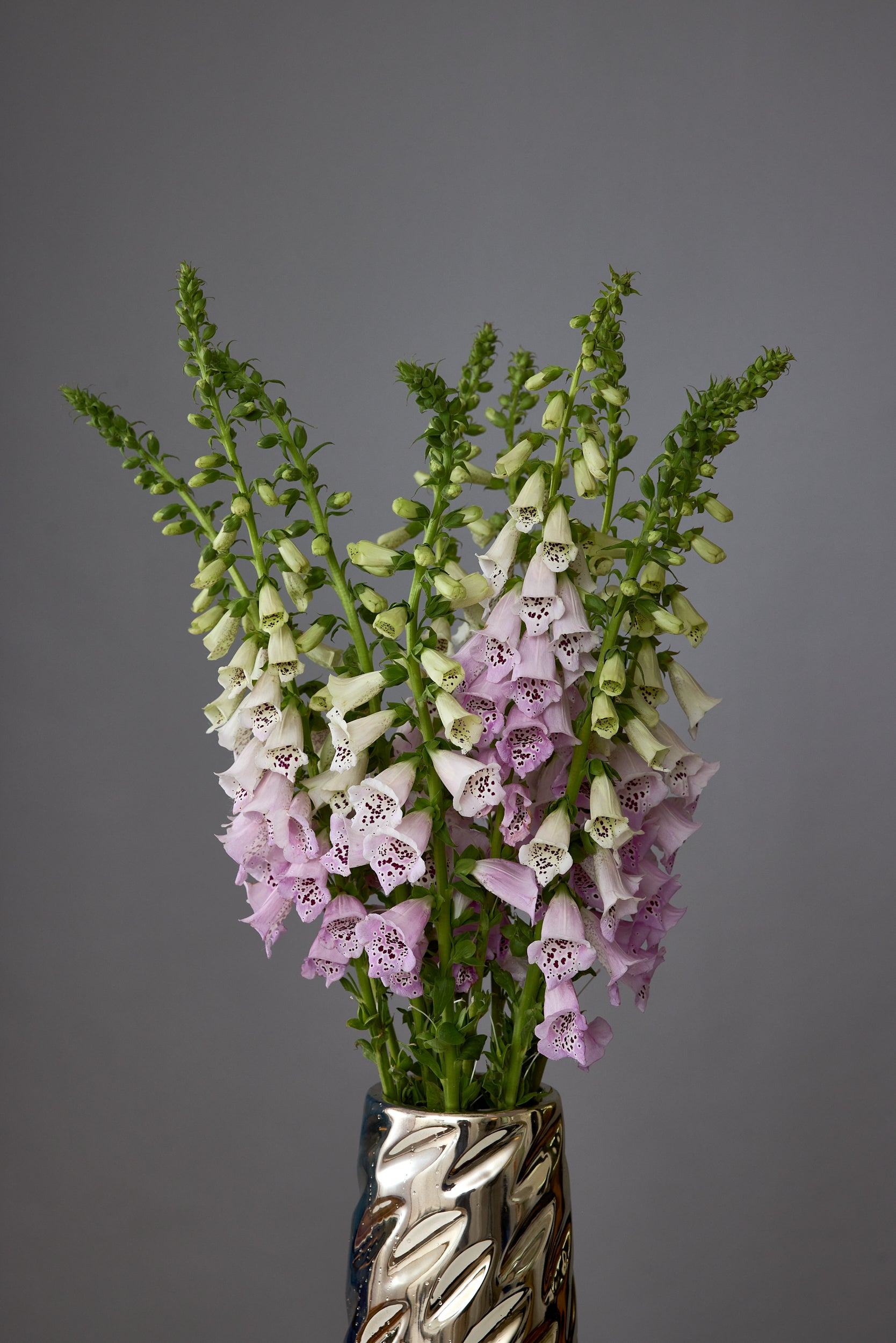 Test 1