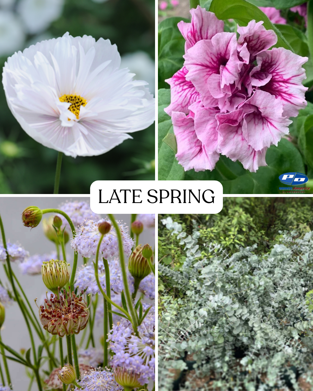 Seasonal Subscription - Soft Shades