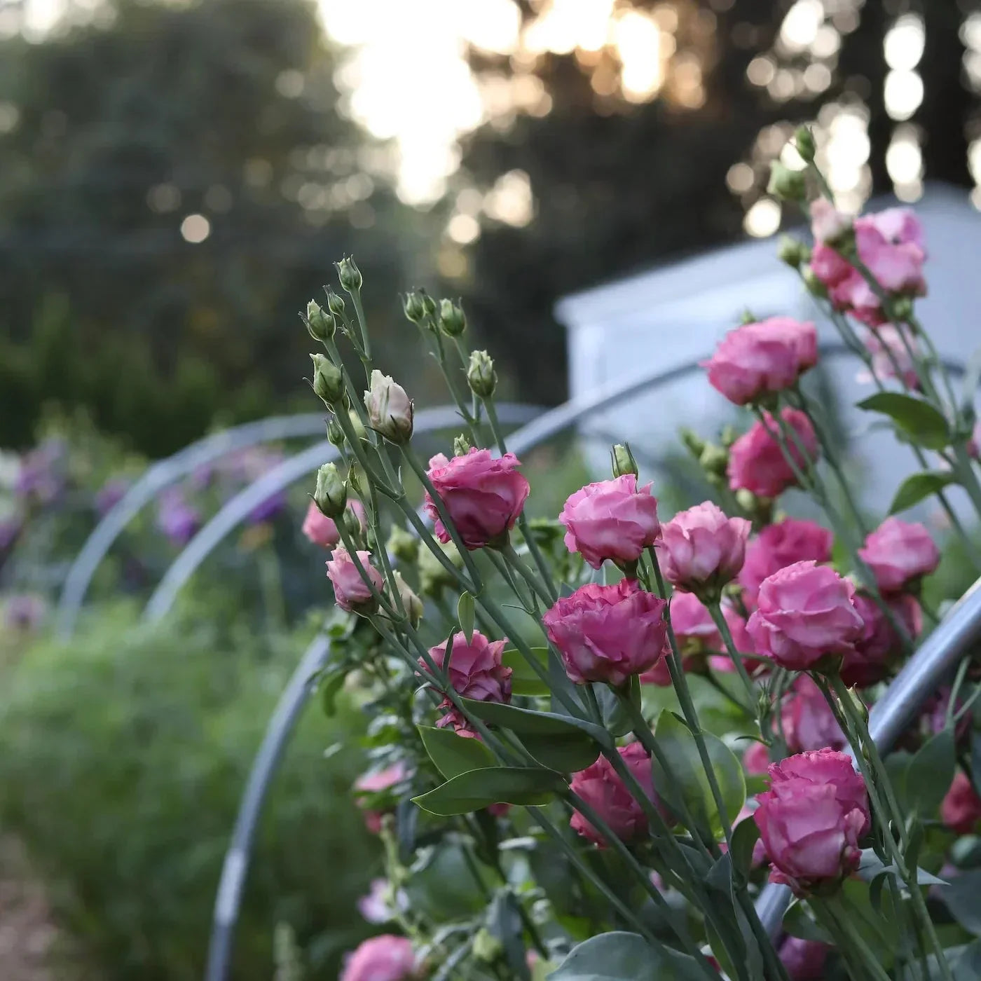 Floret's Favorite Suppliers