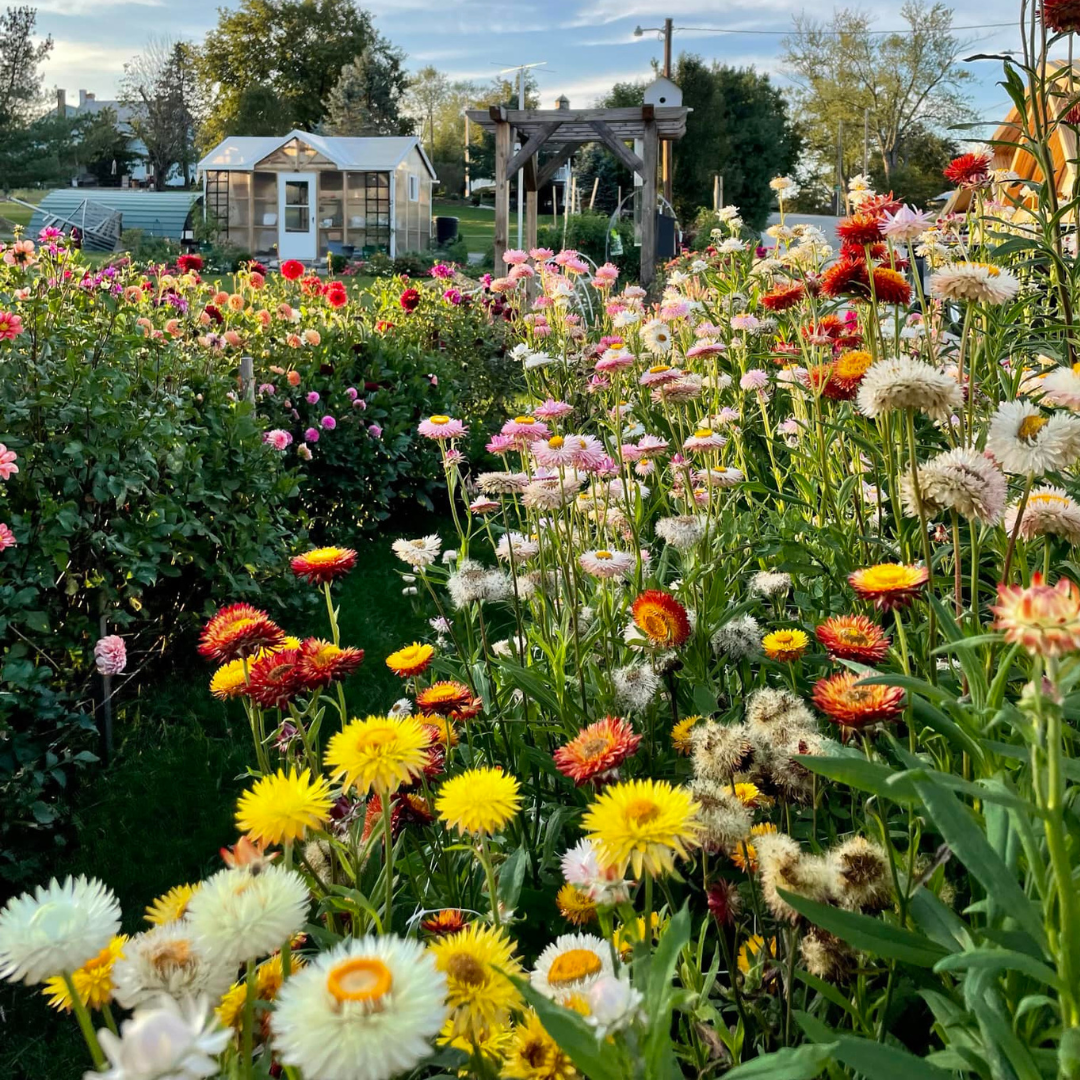 Watch: How to Build Healthier Soils
